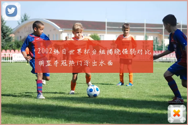 2002韩日世界杯分组揭晓强弱对比明显夺冠热门浮出水面