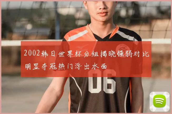 2002韩日世界杯分组揭晓强弱对比明显夺冠热门浮出水面