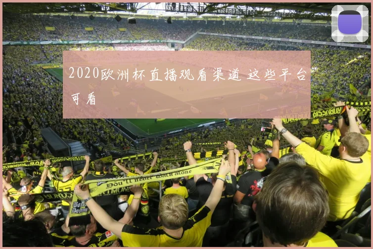 2020欧洲杯直播观看渠道 这些平台可看