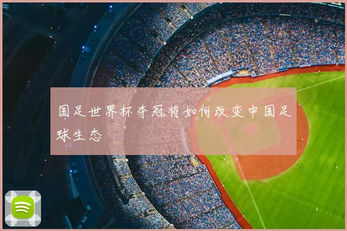 国足世界杯夺冠将如何改变中国足球生态